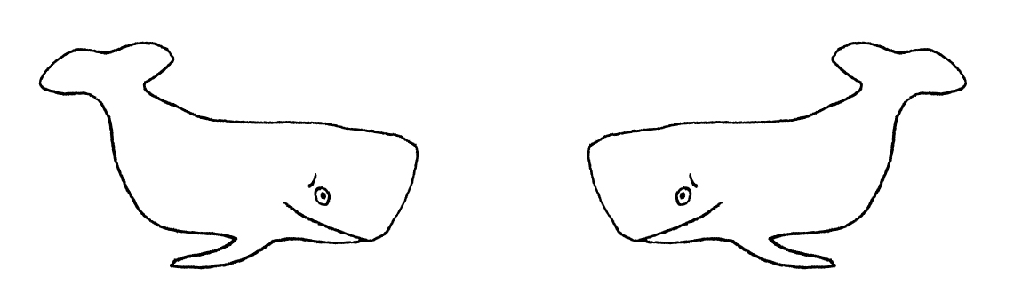 A line drawing of two whales. The whales have a sheepish expresssion.